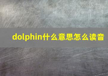 dolphin什么意思怎么读音