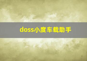 doss小度车载助手