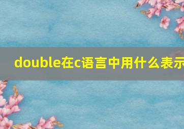 double在c语言中用什么表示