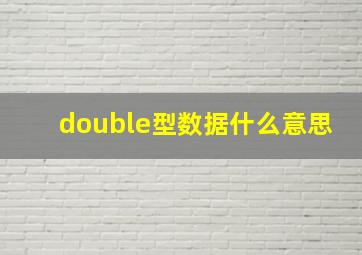 double型数据什么意思