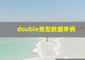 double类型数据举例