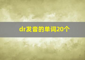 dr发音的单词20个