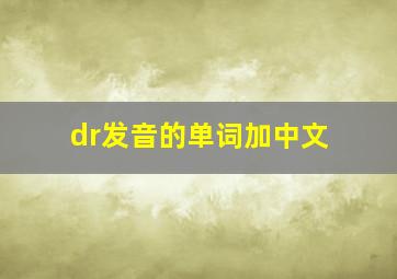 dr发音的单词加中文