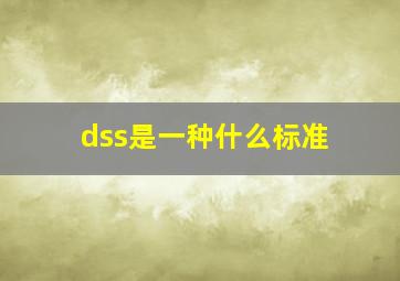 dss是一种什么标准