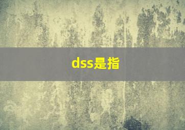 dss是指