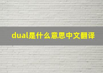 dual是什么意思中文翻译