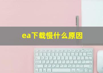 ea下载慢什么原因