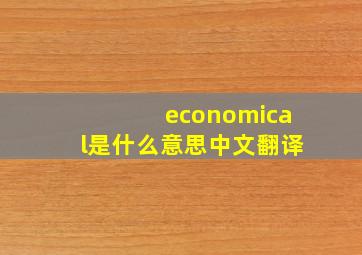 economical是什么意思中文翻译