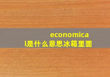 economical是什么意思冰箱里面