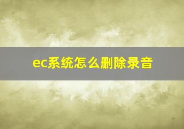 ec系统怎么删除录音