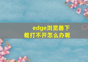 edge浏览器下载打不开怎么办呢