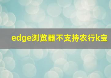 edge浏览器不支持农行k宝