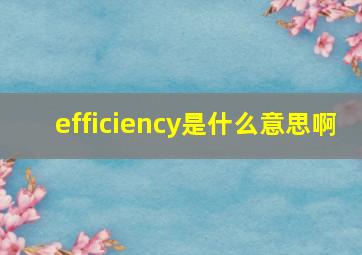 efficiency是什么意思啊