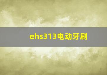 ehs313电动牙刷