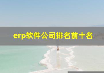 erp软件公司排名前十名