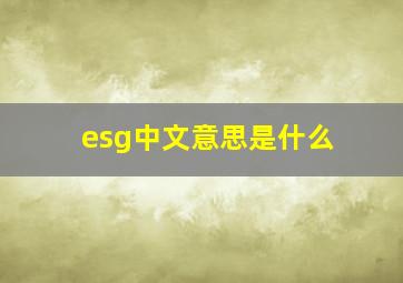 esg中文意思是什么