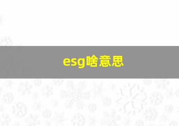 esg啥意思