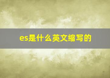 es是什么英文缩写的