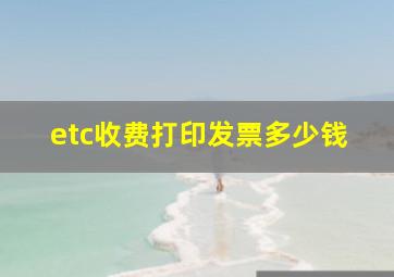 etc收费打印发票多少钱