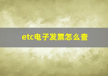 etc电子发票怎么查