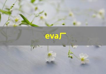 eva厂