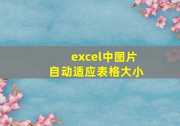 excel中图片自动适应表格大小