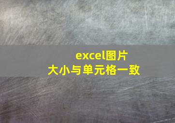 excel图片大小与单元格一致