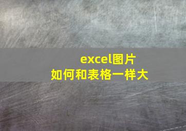 excel图片如何和表格一样大