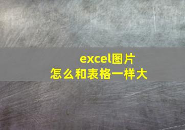 excel图片怎么和表格一样大