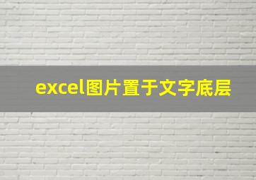 excel图片置于文字底层