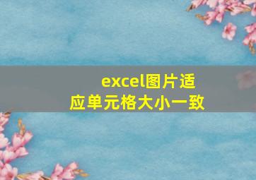 excel图片适应单元格大小一致