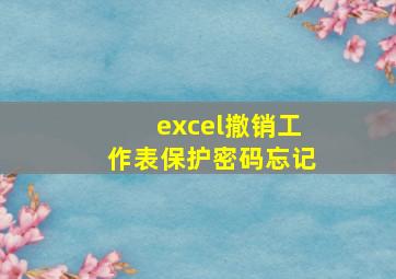 excel撤销工作表保护密码忘记