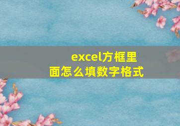 excel方框里面怎么填数字格式