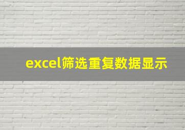 excel筛选重复数据显示