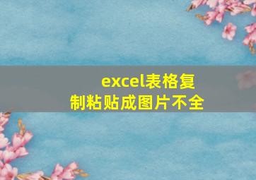 excel表格复制粘贴成图片不全