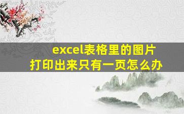 excel表格里的图片打印出来只有一页怎么办