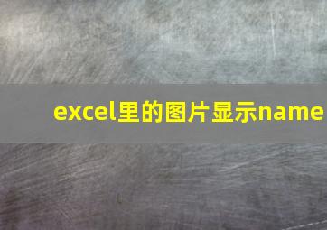 excel里的图片显示name