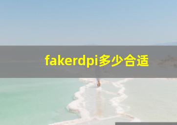 fakerdpi多少合适