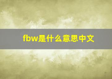 fbw是什么意思中文