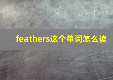 feathers这个单词怎么读