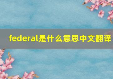 federal是什么意思中文翻译