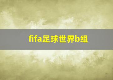 fifa足球世界b组