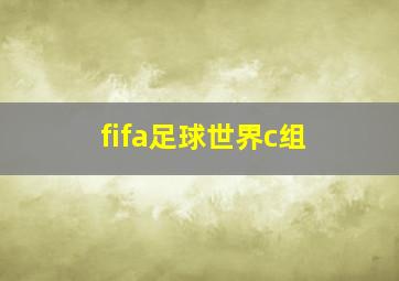 fifa足球世界c组