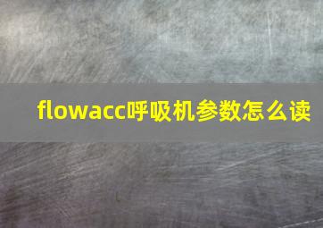 flowacc呼吸机参数怎么读