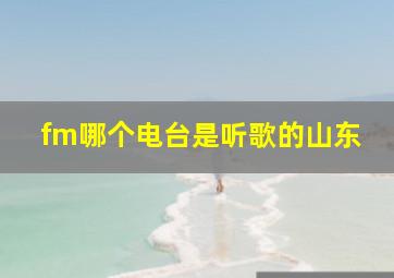 fm哪个电台是听歌的山东