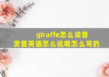 giraffe怎么读音发音英语怎么说呢怎么写的