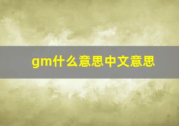 gm什么意思中文意思