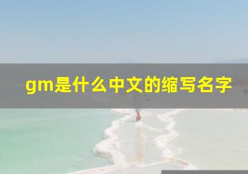 gm是什么中文的缩写名字