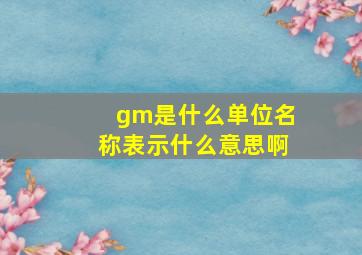 gm是什么单位名称表示什么意思啊