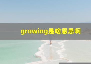 growing是啥意思啊